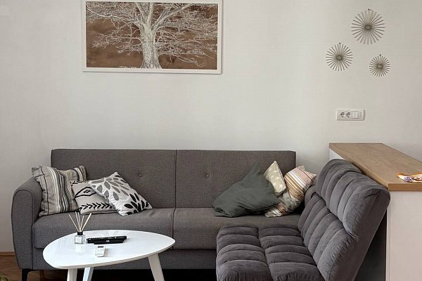Аренда: дуплекс 78 м², 3 спальни. Врачар, Белград в T5lGod4k, arjkX4YF, 78 м², 1 500 € - ID: 647
