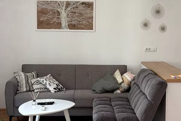 Аренда: дуплекс 78 м², 3 спальни. Врачар, Белград в T5lGod4k, arjkX4YF, 78 м², 1 500 € - ID: 647